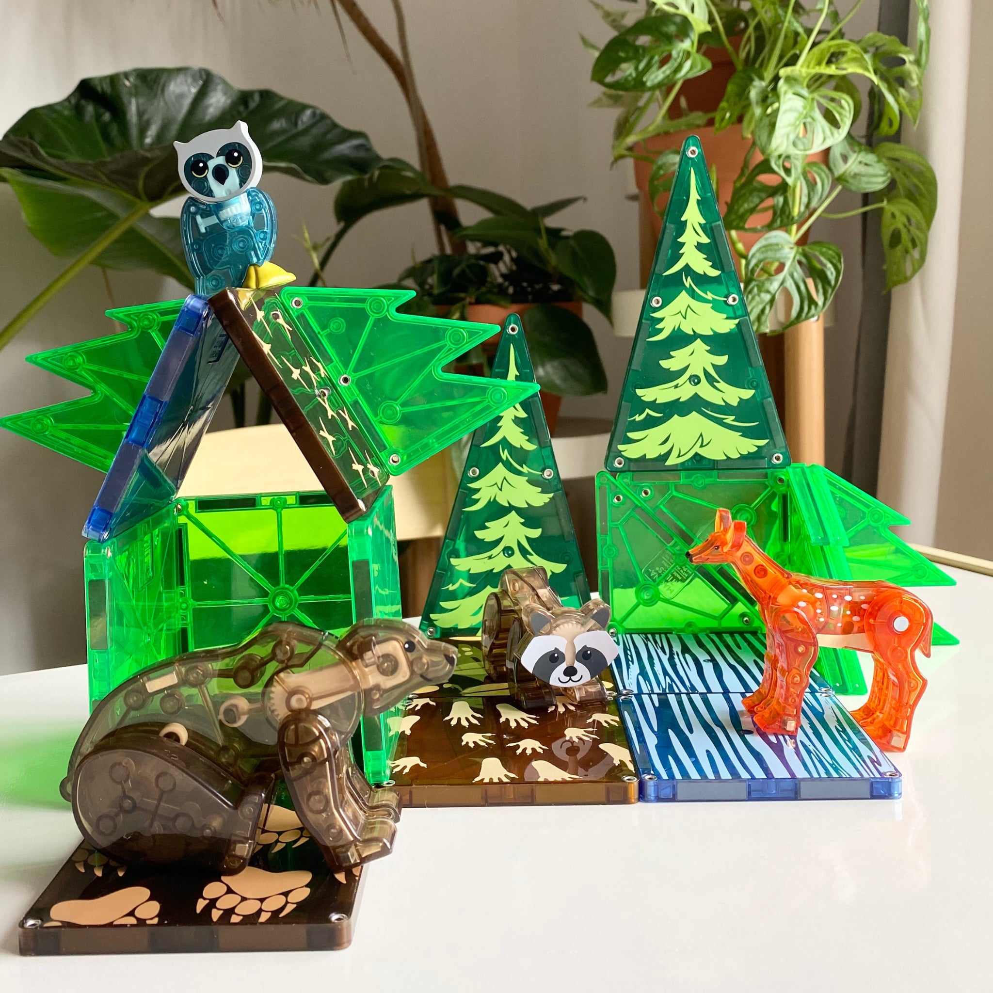 Forest 25 Piece Set - Image 5
